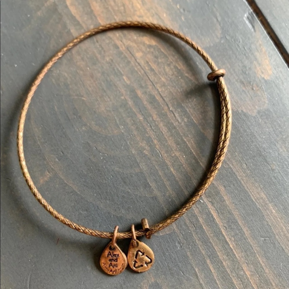 Alex and Ani Bracelet